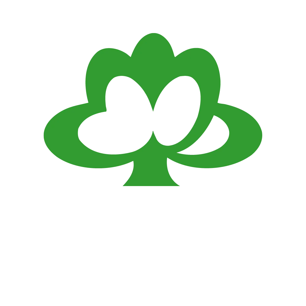 Stiftelsen Gripen